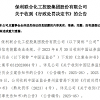曾花近8億買下儲量超億噸大礦的央企因虛增利潤被罰955萬！